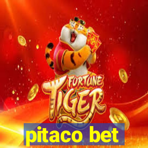 pitaco bet